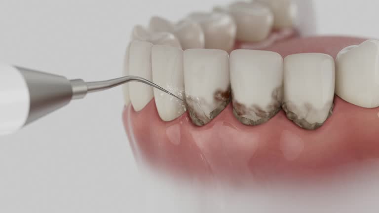 Reliable Dental contractor in Shady Shores, TX by Dentist Open Now